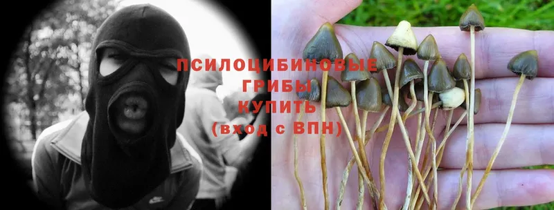 Псилоцибиновые грибы Magic Shrooms Нязепетровск